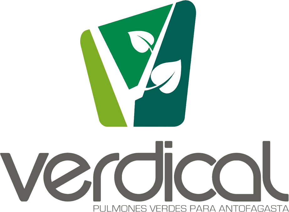Logo 4